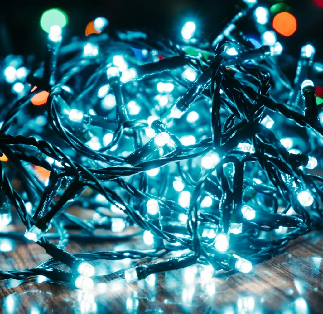 Holiday Survival Guide Part 1