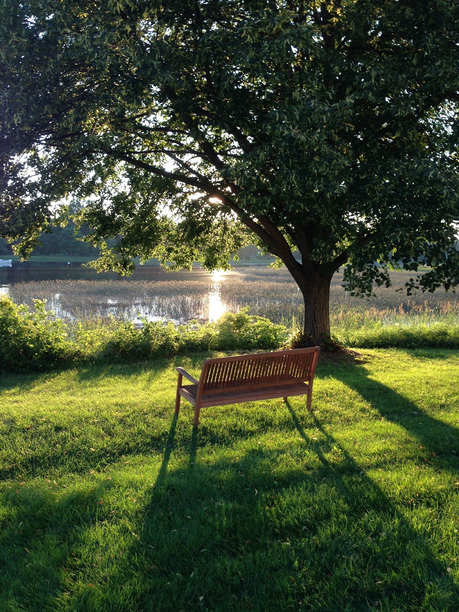 Emotionally Exhausted and Overwhelmed